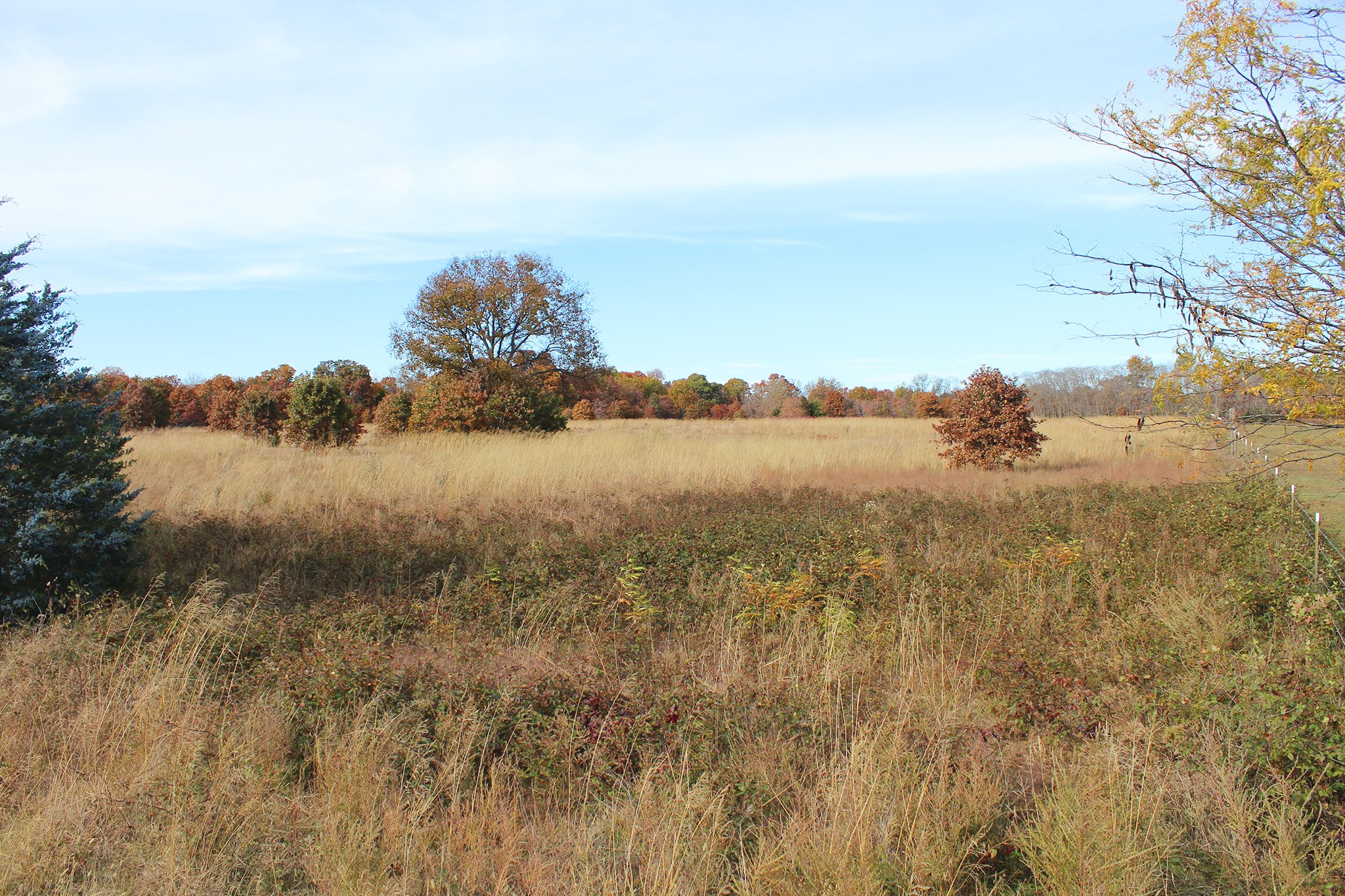 Tract 10 - OKLAHOMA LAND & REAL ESTATE AUCTION, 438 +/- Acres offered in 13 Tracts